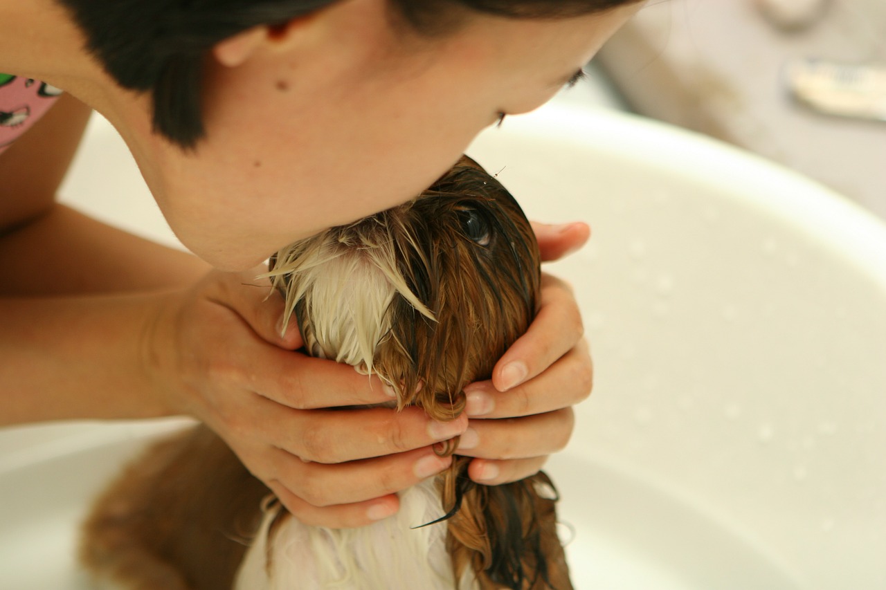 Jak dbać o higienę psa?