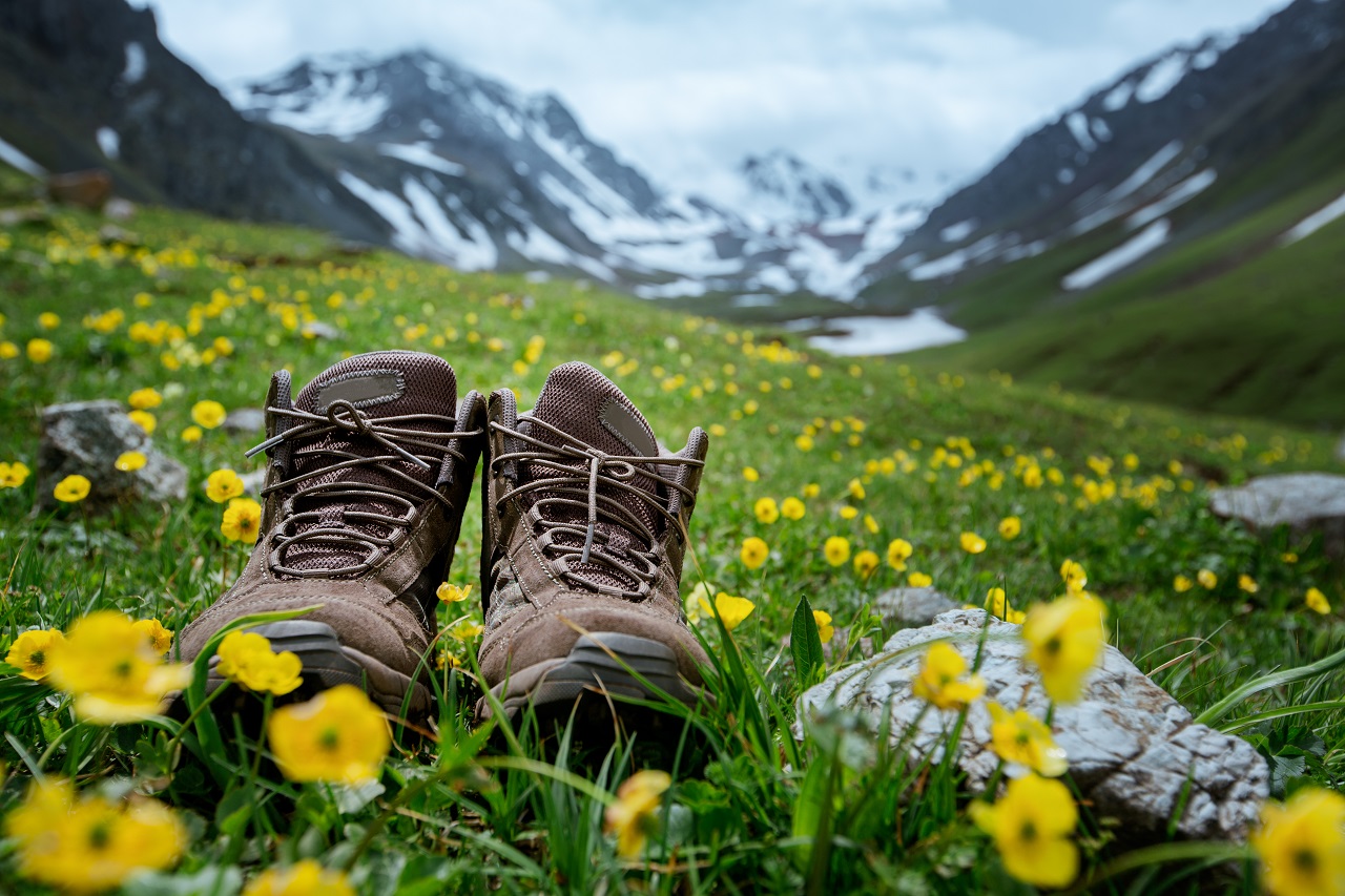 Jakiego typu obuwie zapewni komfort podczas górskich wycieczek?